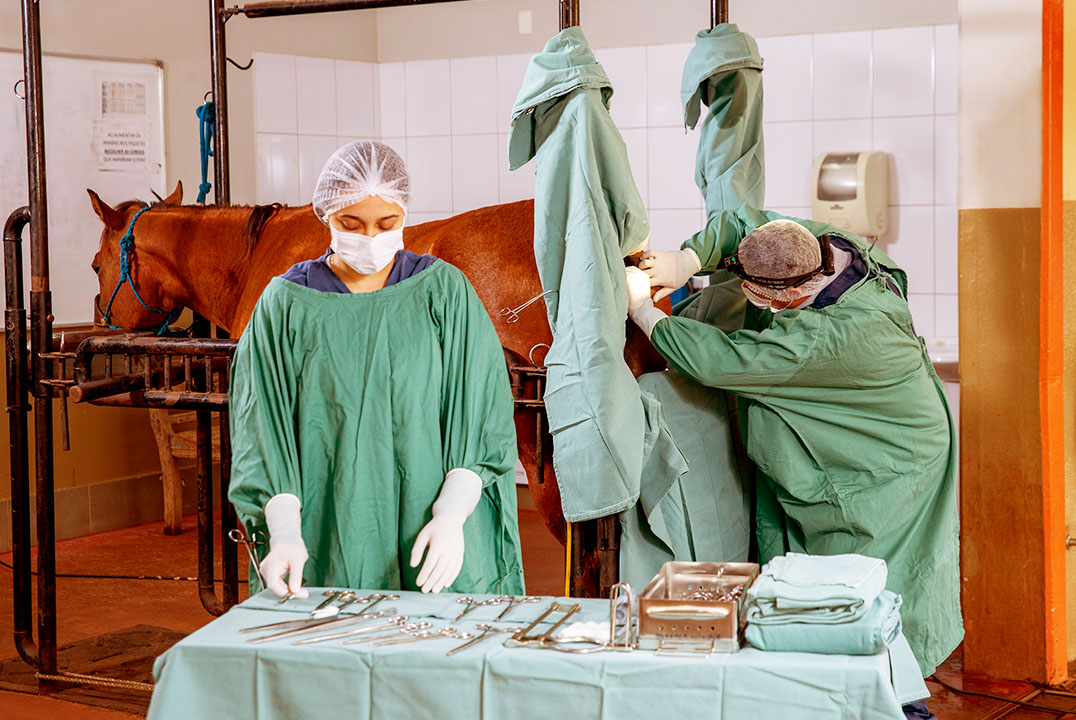 Hospital Veterinário Unifil