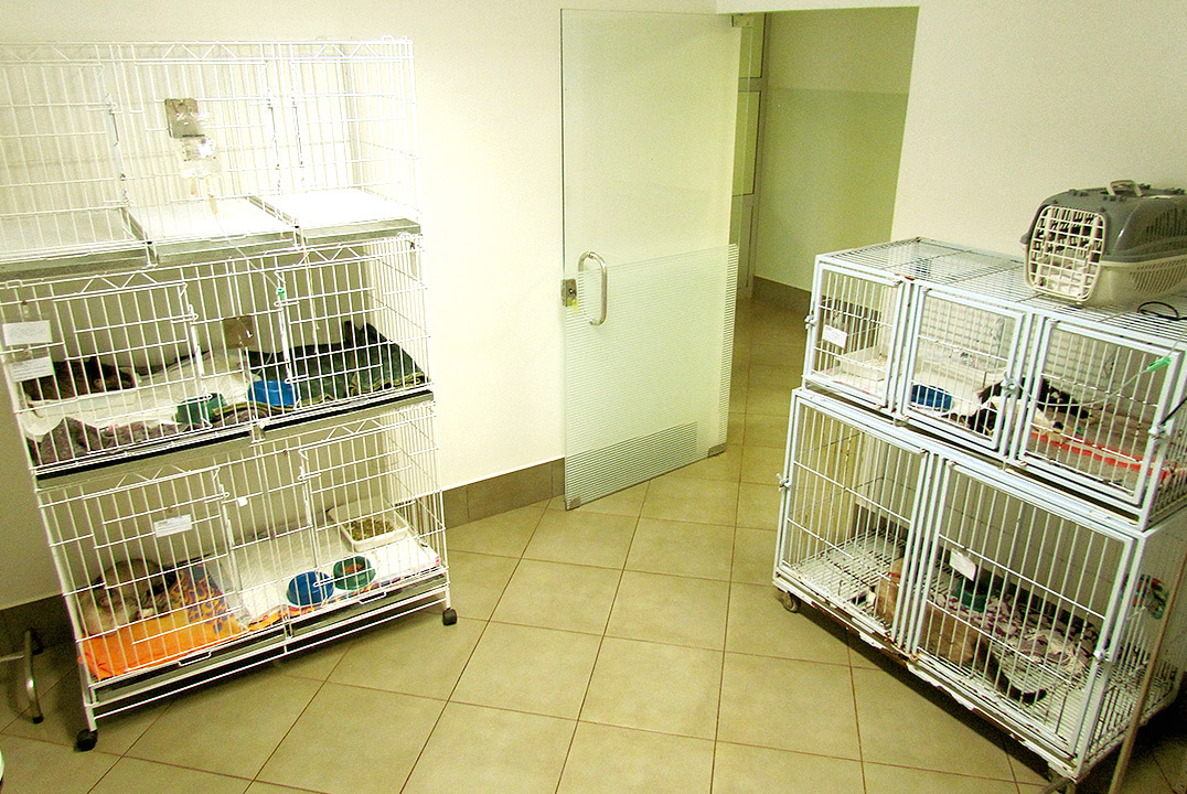 Hospital Veterinário Unifil