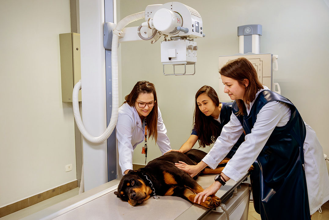 Hospital Veterinário Unifil